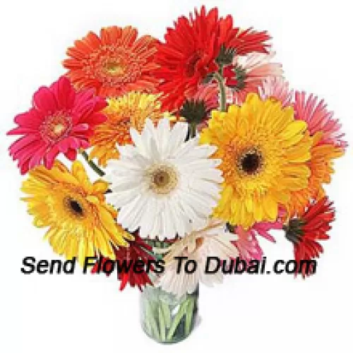 <b>Product Description</b><br><br>18 Mixed Colored Gerberas With Some Ferns In A Glass Vase<br><br><b>Delivery Information</b><br><br>* The design and packaging of the product can always vary and is subject to the availability of flowers and other products available at the time of delivery.<br><br>* The "Time selected is treated as a preference/request and is not a fixed time for delivery". We only guarantee delivery on a "Specified Date" and not within a specified "Time Frame".