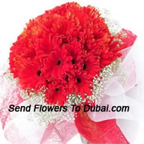 <b>Product Description</b><br><br>A Beautiful Bunch Of 36 Red Gerberas With Seasonal Fillers<br><br><b>Delivery Information</b><br><br>* The design and packaging of the product can always vary and is subject to the availability of flowers and other products available at the time of delivery.<br><br>* The "Time selected is treated as a preference/request and is not a fixed time for delivery". We only guarantee delivery on a "Specified Date" and not within a specified "Time Frame".