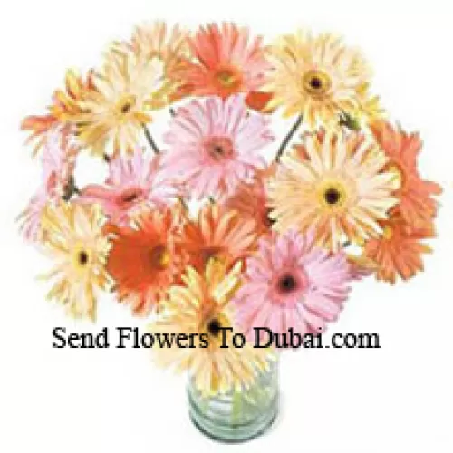 <b>Product Description</b><br><br>24 Mixed Colored Gerberas In A Vase<br><br><b>Delivery Information</b><br><br>* The design and packaging of the product can always vary and is subject to the availability of flowers and other products available at the time of delivery.<br><br>* The "Time selected is treated as a preference/request and is not a fixed time for delivery". We only guarantee delivery on a "Specified Date" and not within a specified "Time Frame".