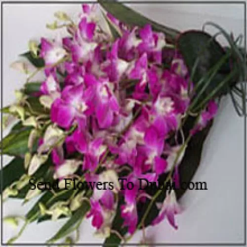 <b>Product Description</b><br><br>Bunch Of Orchids With Seasonal Fillers<br><br><b>Delivery Information</b><br><br>* The design and packaging of the product can always vary and is subject to the availability of flowers and other products available at the time of delivery.<br><br>* The "Time selected is treated as a preference/request and is not a fixed time for delivery". We only guarantee delivery on a "Specified Date" and not within a specified "Time Frame".