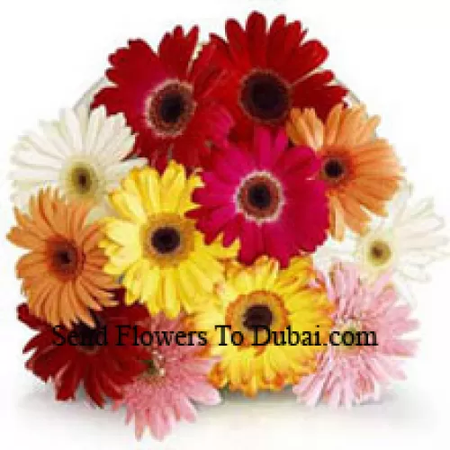 <b>Product Description</b><br><br>Bunch Of 12 Assorted Colored Gerberas<br><br><b>Delivery Information</b><br><br>* The design and packaging of the product can always vary and is subject to the availability of flowers and other products available at the time of delivery.<br><br>* The "Time selected is treated as a preference/request and is not a fixed time for delivery". We only guarantee delivery on a "Specified Date" and not within a specified "Time Frame".