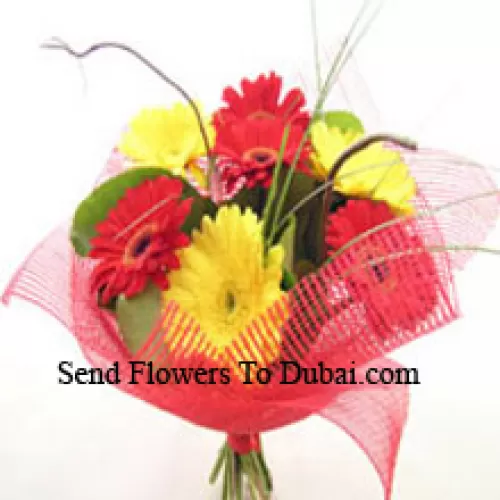 <b>Product Description</b><br><br>Bunch Of 12 Mixed Colored Gerberas<br><br><b>Delivery Information</b><br><br>* The design and packaging of the product can always vary and is subject to the availability of flowers and other products available at the time of delivery.<br><br>* The "Time selected is treated as a preference/request and is not a fixed time for delivery". We only guarantee delivery on a "Specified Date" and not within a specified "Time Frame".