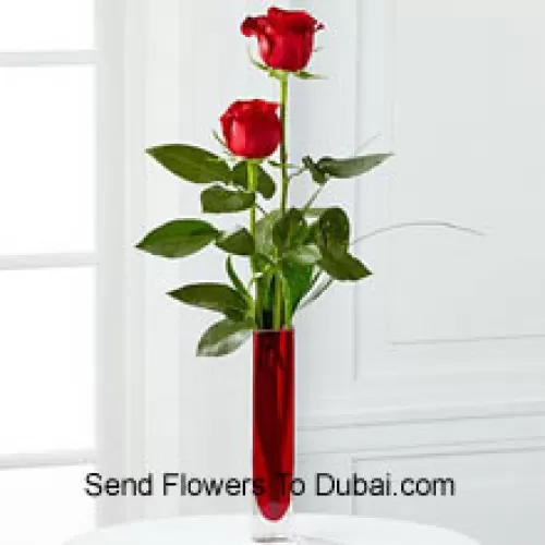 <b>Product Description</b><br><br>Two Red Roses In A Red Test Tube Vase (We Reserve The Right To Substitute The Vase In Case Of Non-Availability. Limited Stock)<br><br><b>Delivery Information</b><br><br>* The design and packaging of the product can always vary and is subject to the availability of flowers and other products available at the time of delivery.<br><br>* The "Time selected is treated as a preference/request and is not a fixed time for delivery". We only guarantee delivery on a "Specified Date" and not within a specified "Time Frame".
