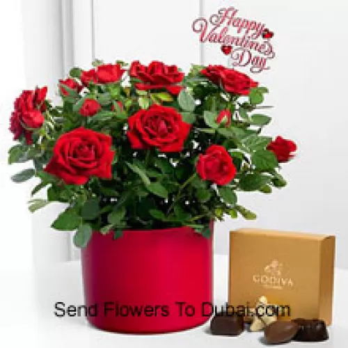 <b>Product Description</b><br><br>24 Red Roses With Some Ferns In A Big Vase And A Box Of Godiva Chocolates (We reserve the right to substitute the Godiva chocolates with chocolates of equal value in case of non-availability of the same. Limited Stock)<br><br><b>Delivery Information</b><br><br>* The design and packaging of the product can always vary and is subject to the availability of flowers and other products available at the time of delivery.<br><br>* The "Time selected is treated as a preference/request and is not a fixed time for delivery". We only guarantee delivery on a "Specified Date" and not within a specified "Time Frame".